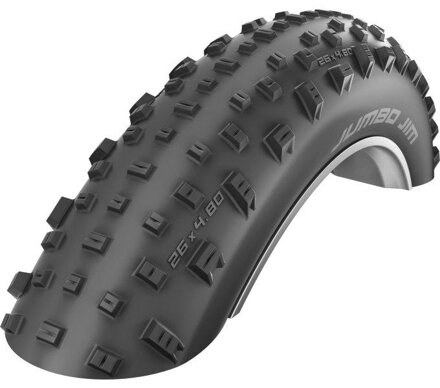 SCHWALBE Pneu JUMBO JIM (100-559) 26x4.00 Performance 67EPI 1050g Noir