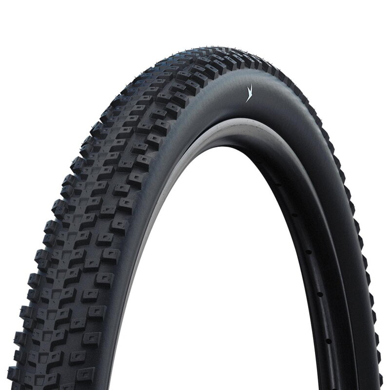 SCHWALBE Pneu ADVANCER HYBRID (65-622) 29x2.60 Active 50EPI PunctureGuard 1330g Noir reflex Vert