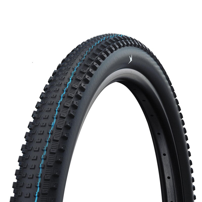 SCHWALBE Pneu RICK XC PRO (62-622) 29x2.40 Evolution 67EPI 760g Noir TLR SpeedGrip NEW25